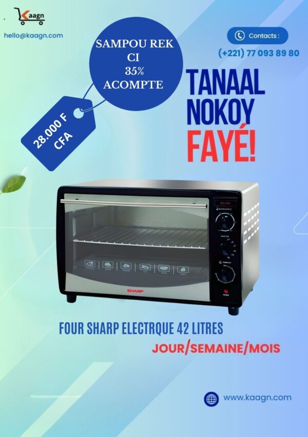 Four Sharp Electrique 42 Litres